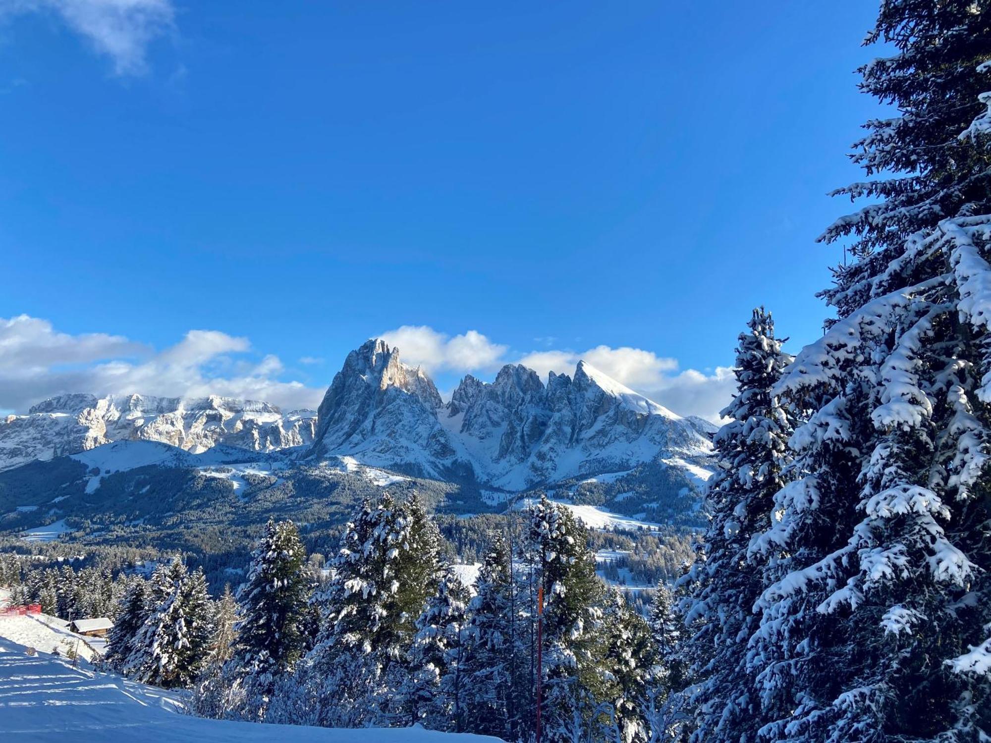 Cesa Vedla - Quite And Cozy Alpine Escape โอติเซ ภายนอก รูปภาพ