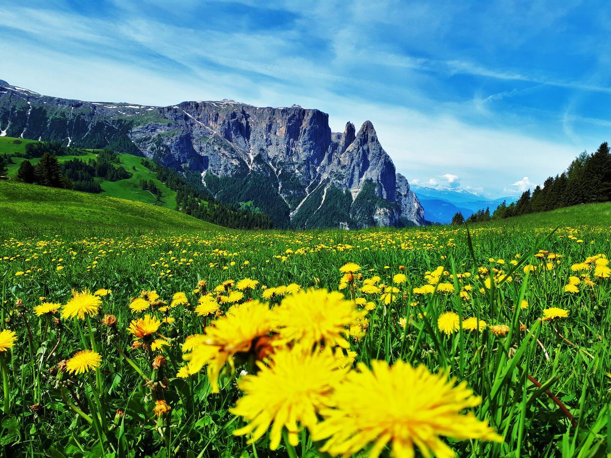 Cesa Vedla - Quite And Cozy Alpine Escape โอติเซ ภายนอก รูปภาพ